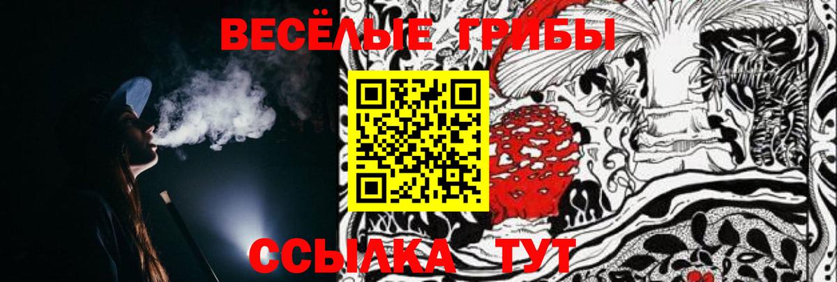 Псилоцибиновые грибы GOLDEN TEACHER Канаш