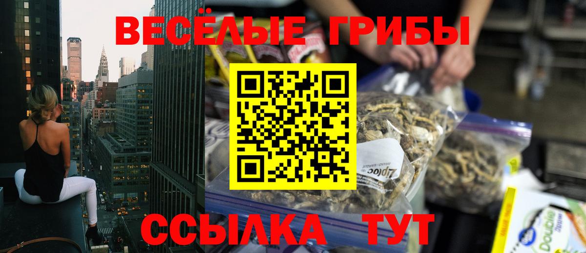цены наркотик  Галлюциногенные грибы GOLDEN TEACHER  Вход с VPN  Канаш 